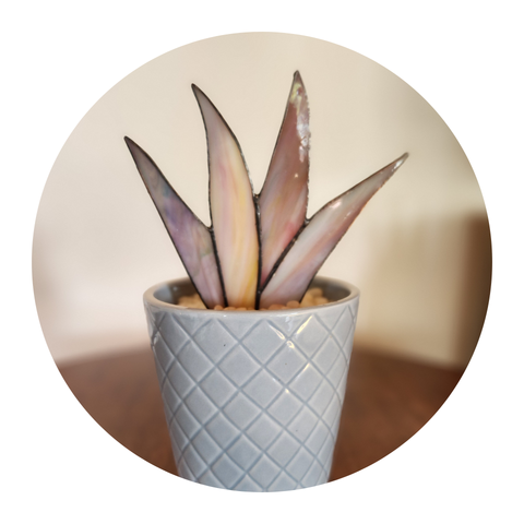 Prickly Little Things By Light It Up!