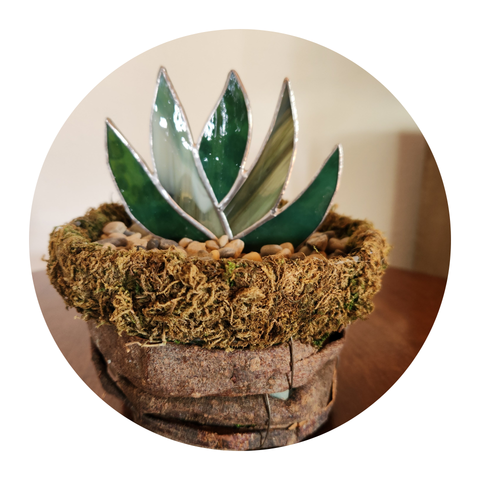 Prickly Little Things By Light It Up!