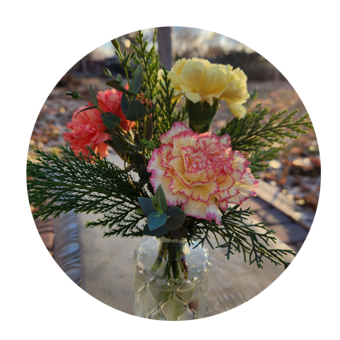 Winter Solstice Collection