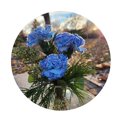 Winter Solstice Collection