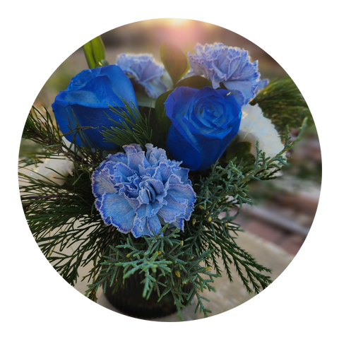 Winter Solstice Collection