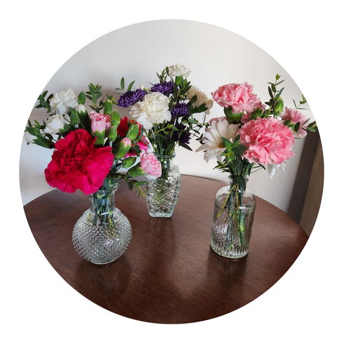 No Roses, Just Goodness