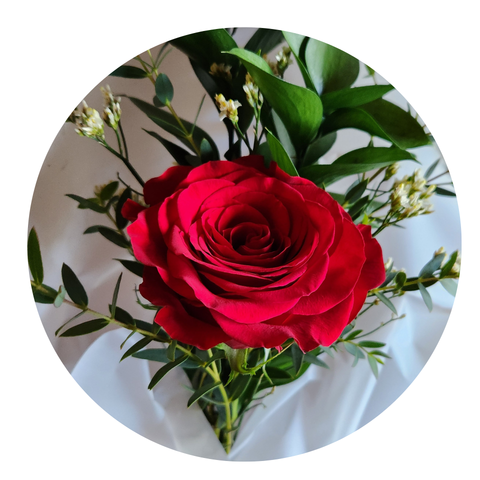 Single Stem Rose