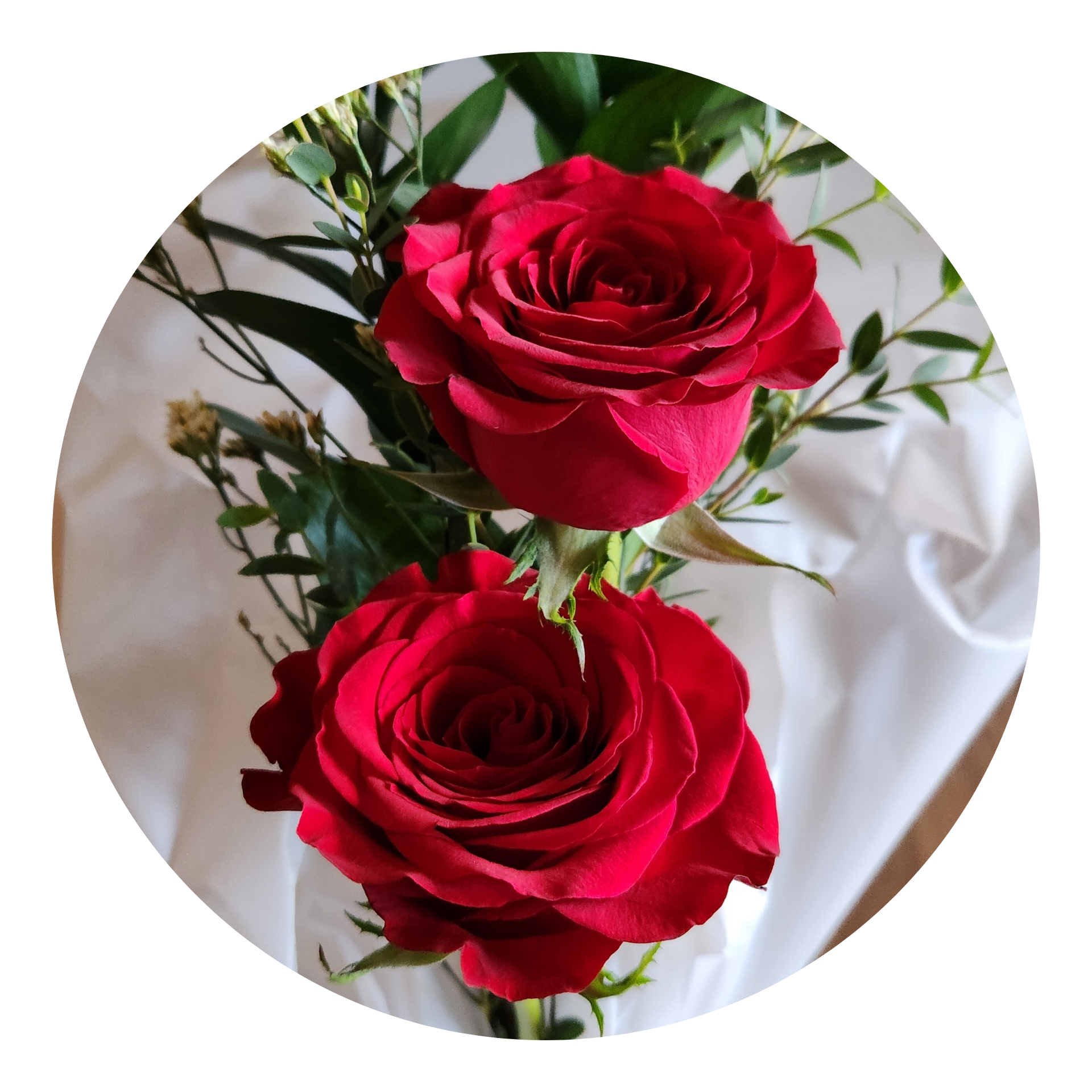 Two Simple Rust Roses Two-Rose Stems – Bear Root Cottage
