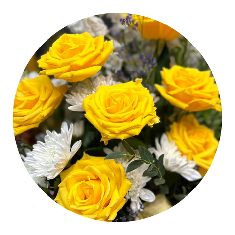 Three Dozen Roses — “Everlasting Bloom”