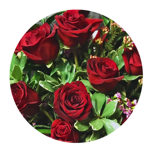 Two Dozen Roses — “Gathered Grace”